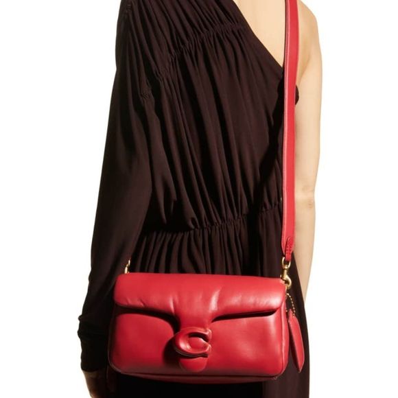 RETAIL Coach Pillow Tabby 26 - Picture 9 of 16